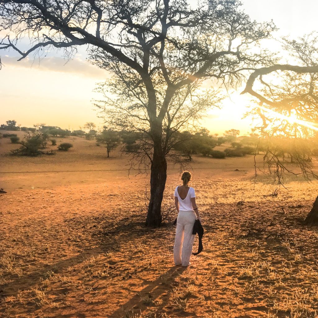 Road Trip | Namibie | Afrique